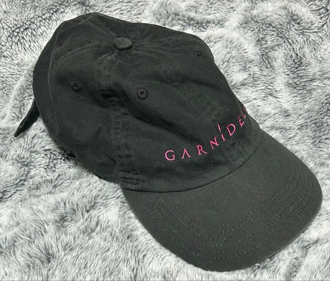 BIG ブロマイド ミニカード GARNiDELiA 美依礼芽 MARiA 他 - メルカリ