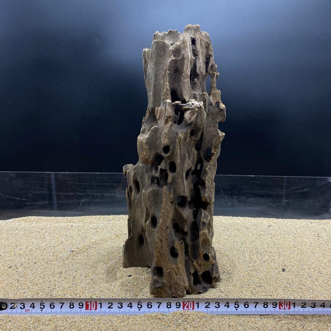 MMW-6141 マシンガンウッド 1点物 流木 アクアリウム 4[新品