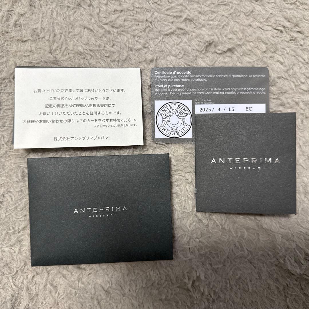 MK【ANTEPRIMA】ワイヤーバッグ ノード II スモール