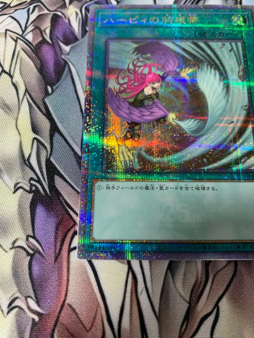 ハーピィの羽根箒　25th 絵違い