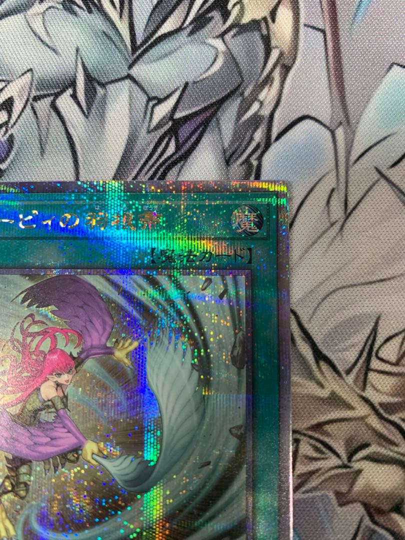 ハーピィの羽根箒　25th 絵違い