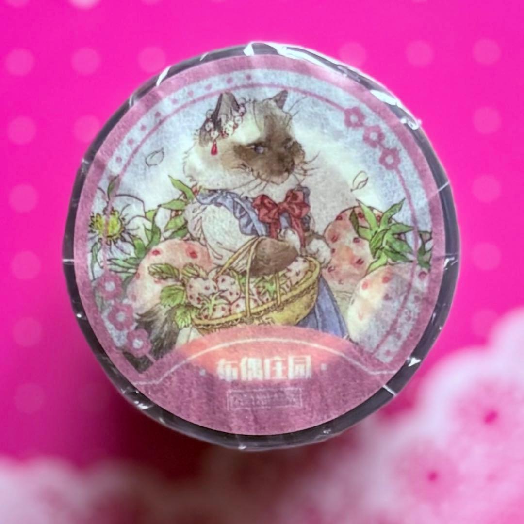 4063 贝壳光 6.5cm×10m 布偶庄园 海外マスキングテープ