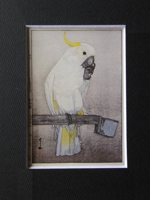 吉田博、きばたん あうむ、希少な額装用画集より、新品高級額装