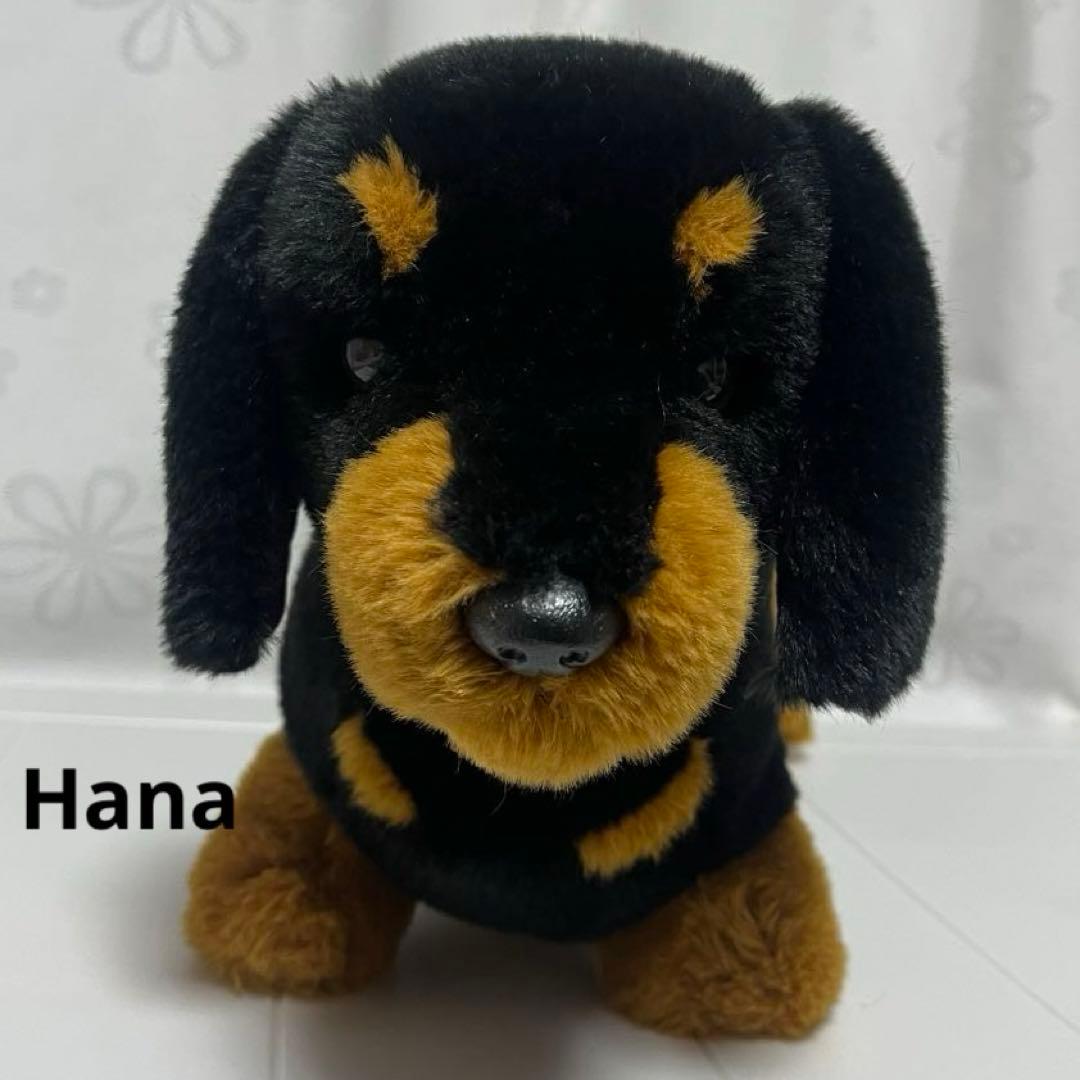 激レア⁉︎ Animal Alley ダックスフンド ぬいぐるみ 黒 インテリア