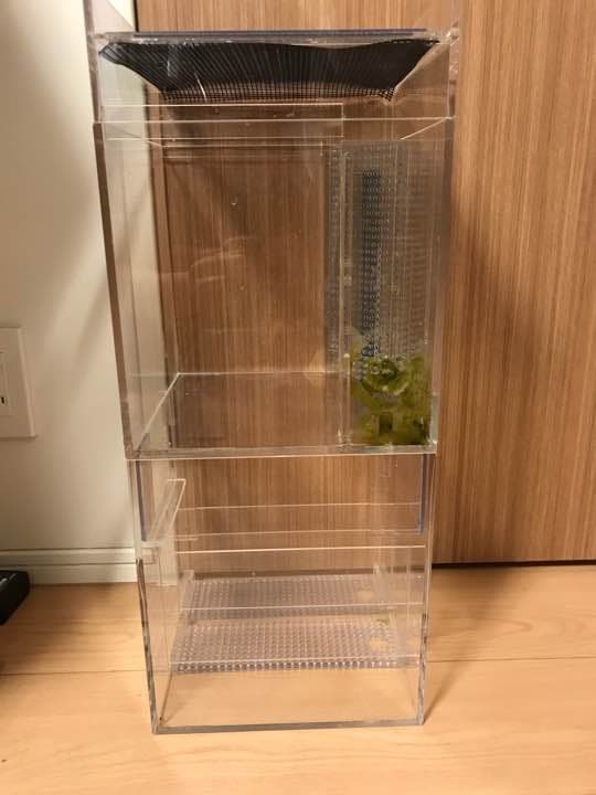 ADA グロースプレート 60×30用 ADA グロースプレート 60cm×30cm用