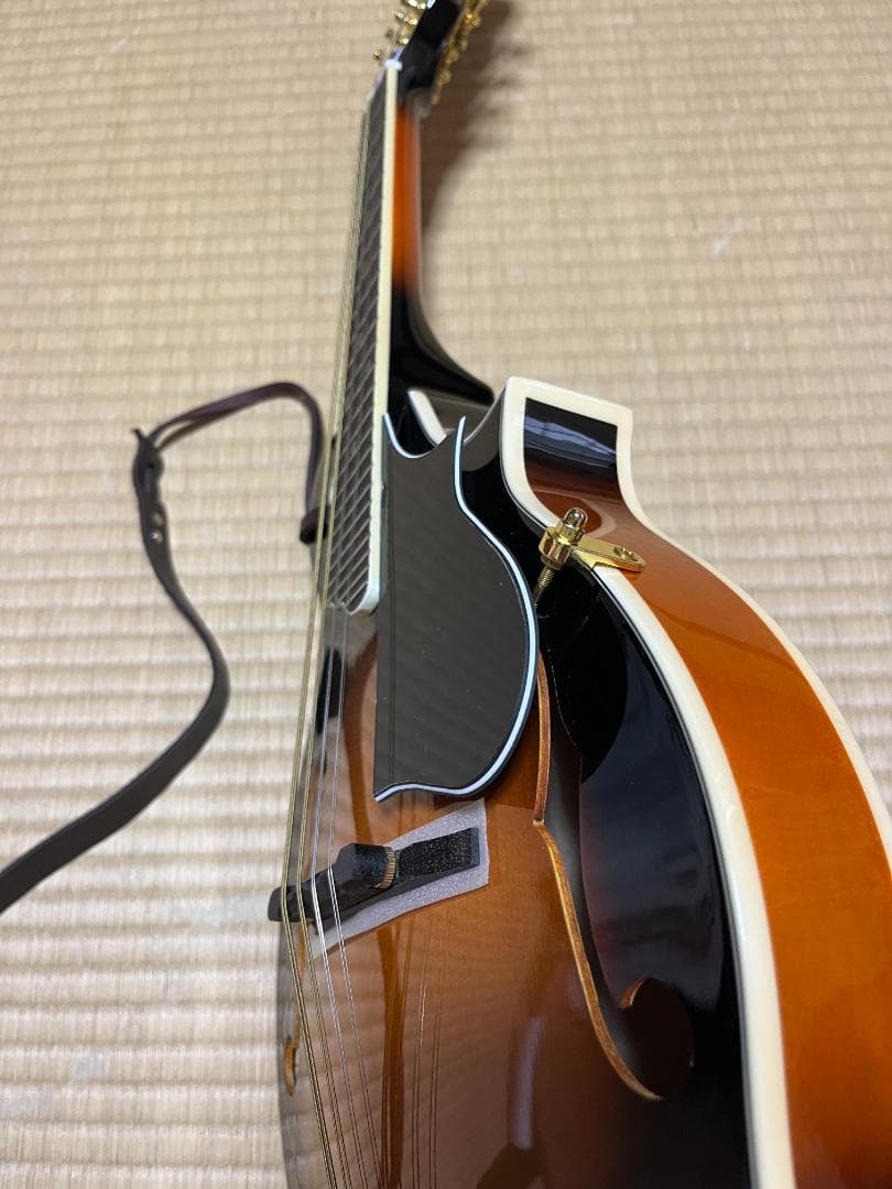 ★ARIA AM-40 フラットマンドリン　★ストラップ付