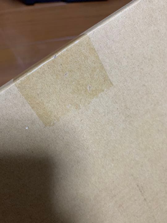 真紅眼の黒竜 レッドアイズ プリズマティックシークレット