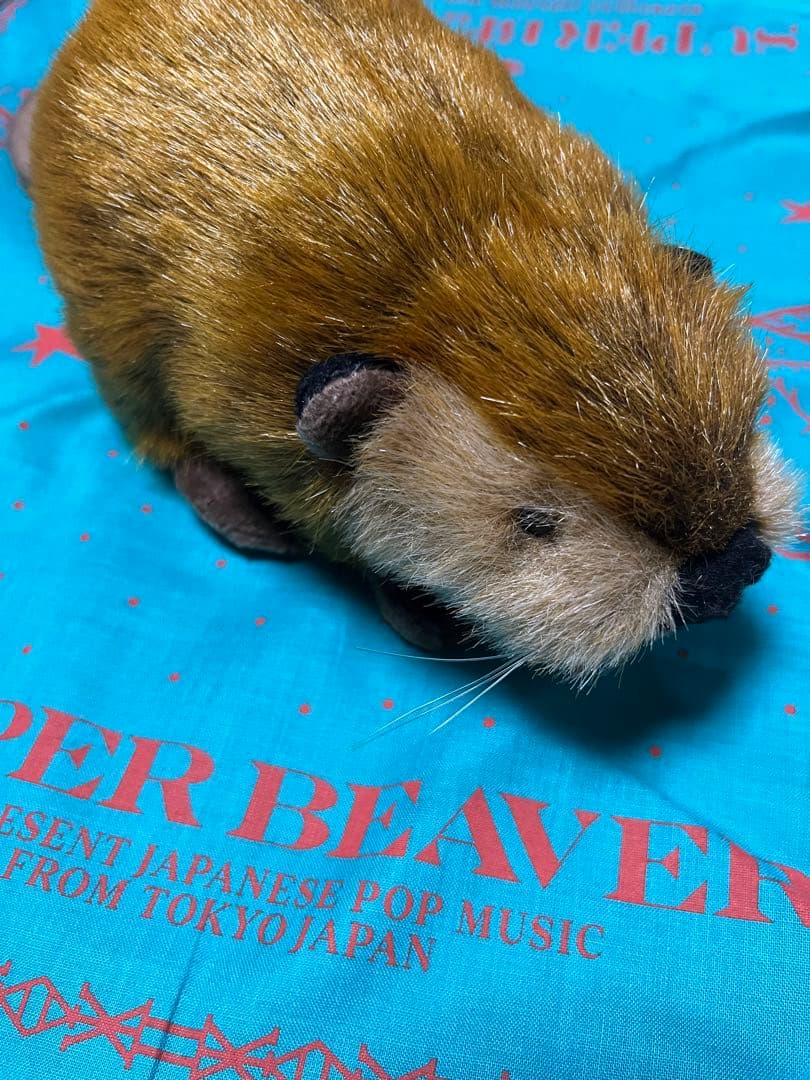 タグ付き【SUPER BEAVER】ビーバーちゃん