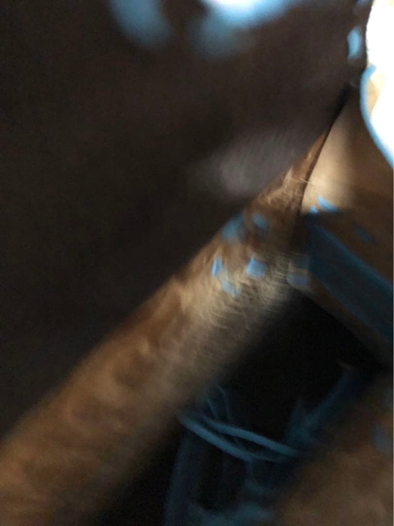 S*A様 レア❣️ カービングトライブス　Sサイズ