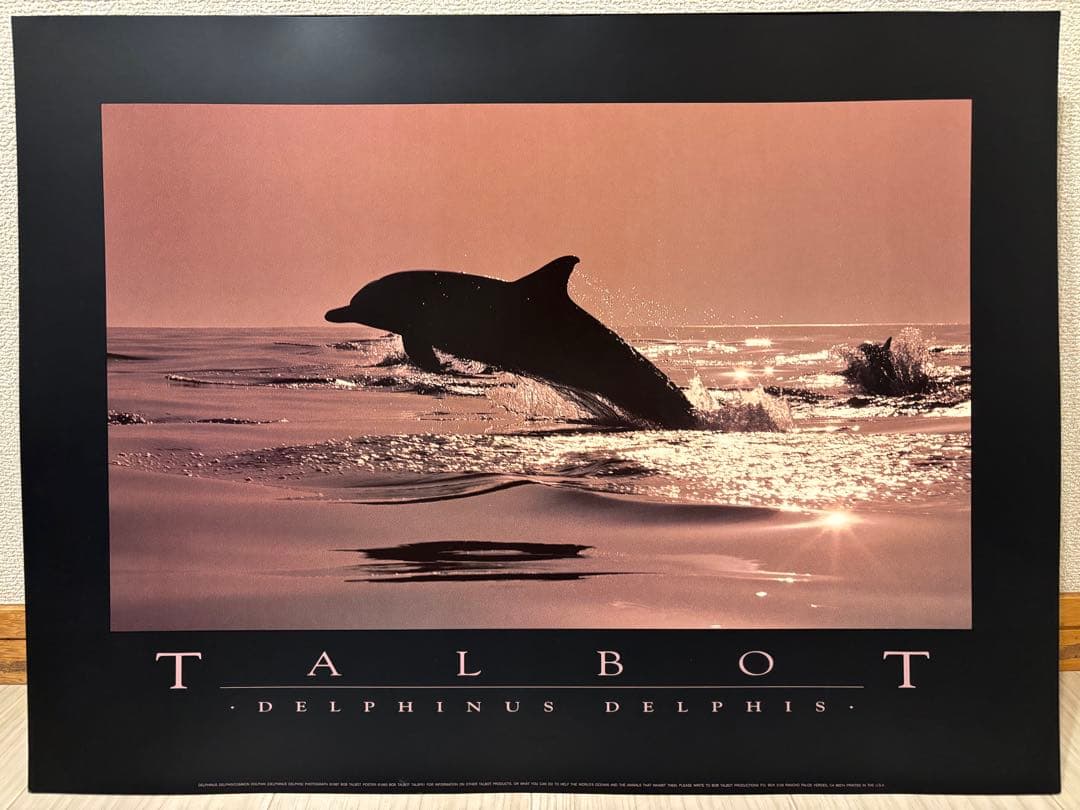 Bob Talbot 80s vintage poster 7種セット BOB TALBOT- Signed Bob