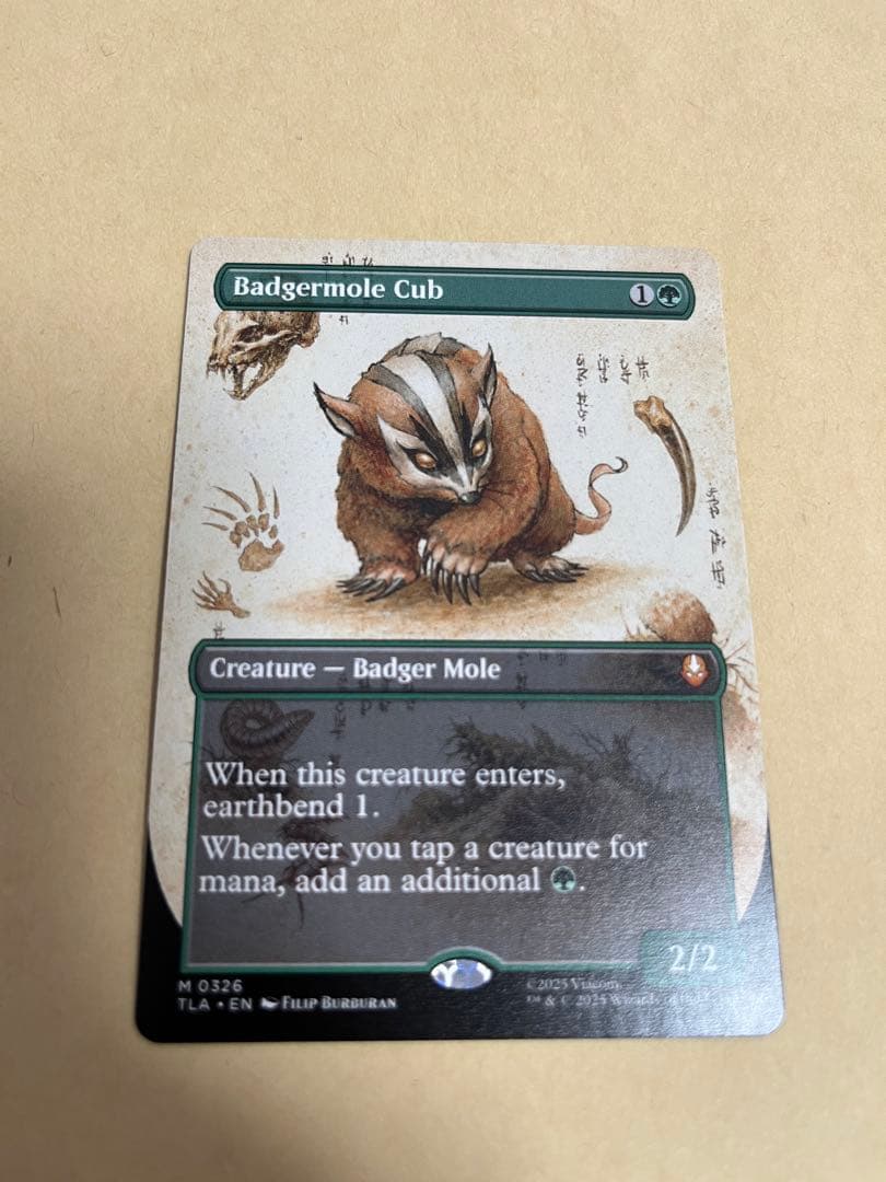 MTG アナグマモグラの仔 Badgermole Cub 拡張版 英語 1枚-お得なセット商品