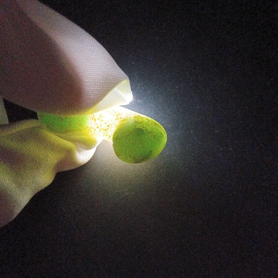 翡翠勾玉大和王権古墳時代 勾玉 コの字勾玉 美麗勾玉 頸飾り勾玉 美術