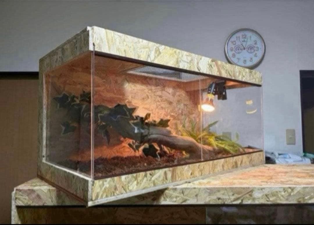 爬虫類ケージ 80×40×40 サイドアクリル 飼育ケージ ケージ 爬虫類