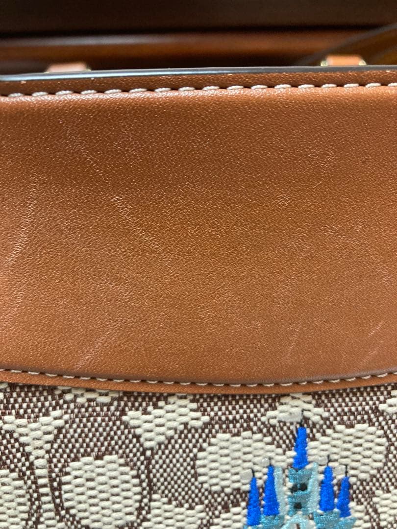 ご予約品【DISNEY×COACH】ディズニー50周年 ショルダーバッグ