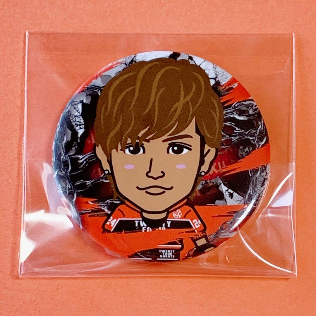 岩田 剛典 缶バッチ めちゃイケ レア