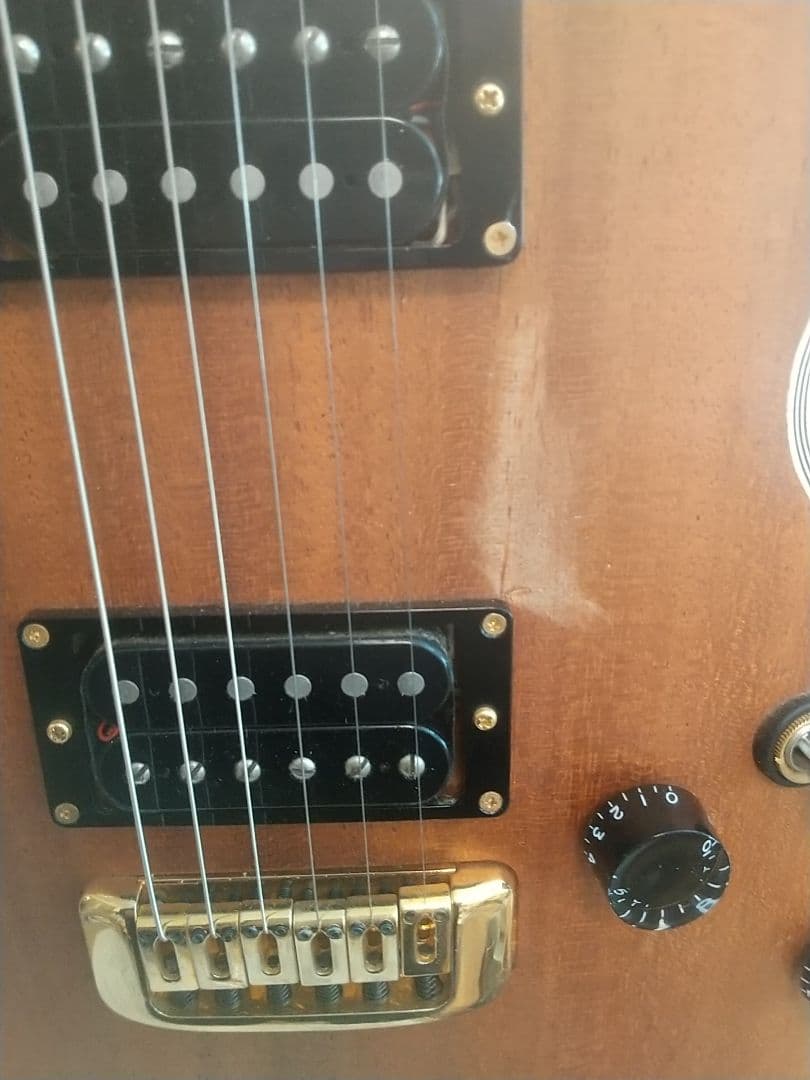 フジゲン/F&CアンボーイAnboy☆AF-55c オールマホガニー