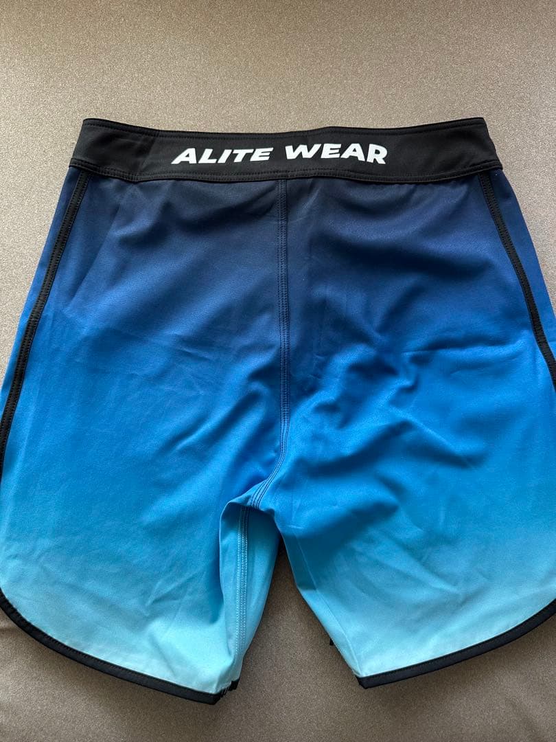 ALITE WEAR 水着 グラデーションブルー 26