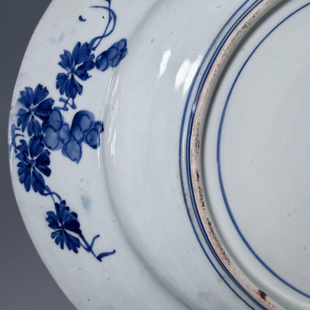 幕末〜明治期　青磁染付夜桜図楕円形大皿　牡丹文様　福　裏葡萄文様　48.6cm