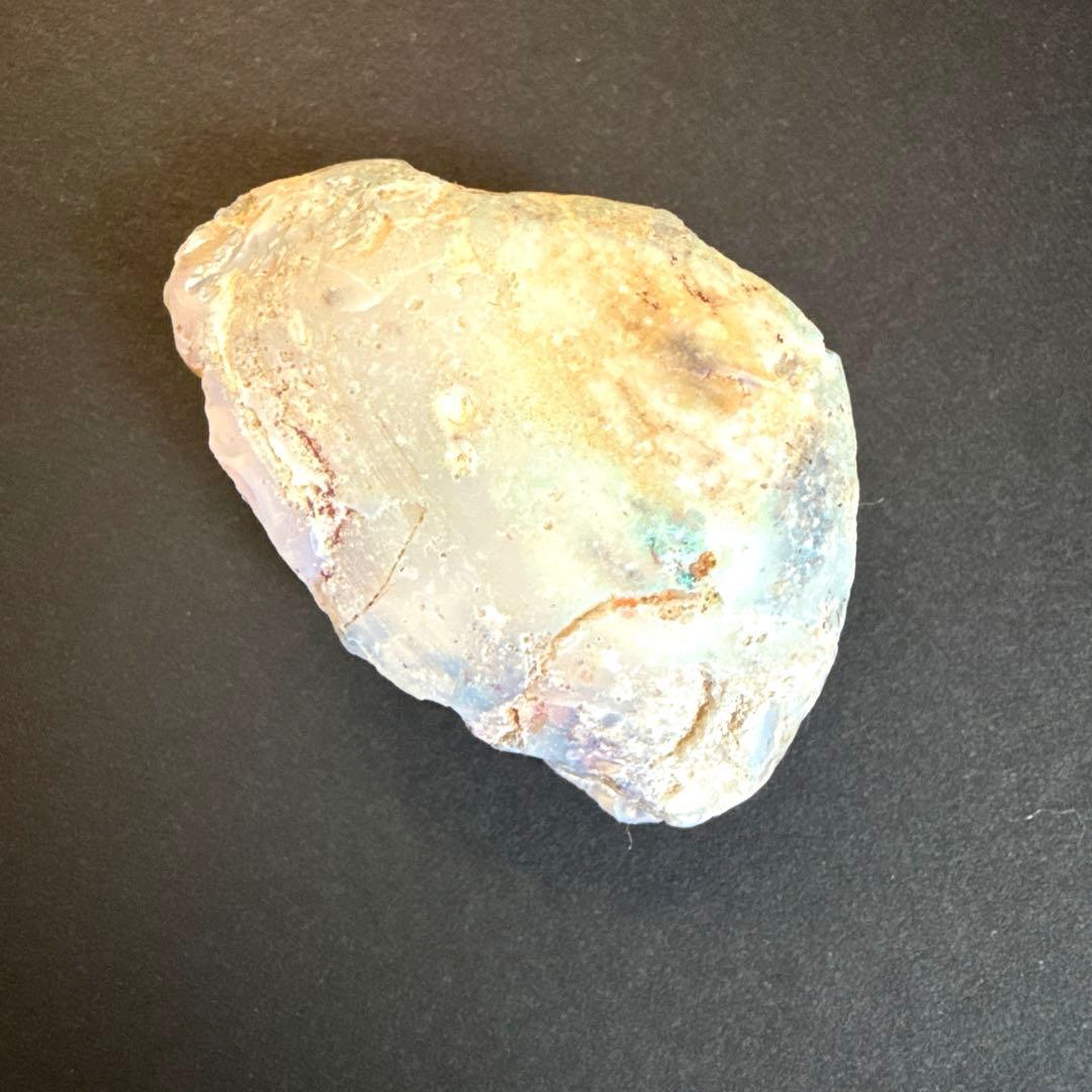 シェルオパール 貝オパール オパール化貝化石