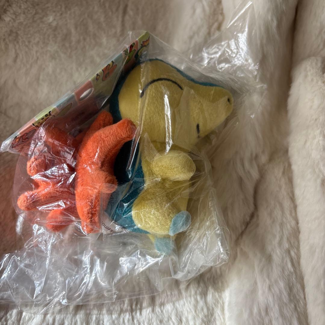 ポケモンセンター　連れ歩き　マスコット　ぬいぐるみ　ヒノアラシ　レア