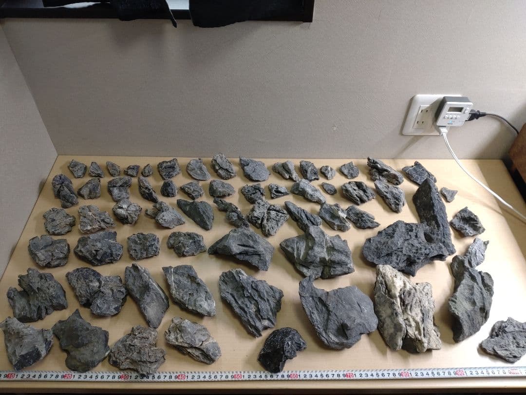 龍王石 MSS-7260 青龍石レイアウトセット 酸処理済み龍王石 竜王石