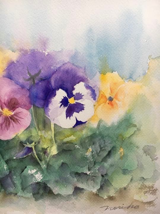 透明水彩原画パンジー春の花飾りA