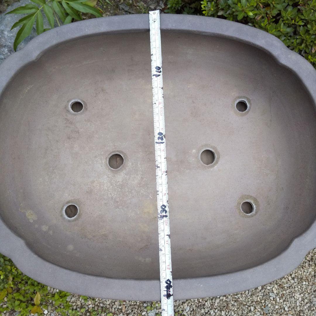 常滑焼 盆栽鉢 松柏類 大品『松下陶園』泥鉢 泥物 外縁