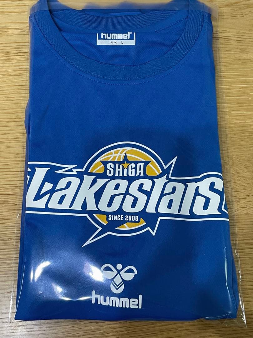 ゴビ石−574 ゴビ瑪瑙 原石 地表 血脈