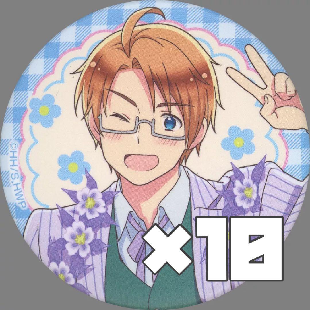 ヘタリア フラワーパレード アメリカ 缶バッジ 10個