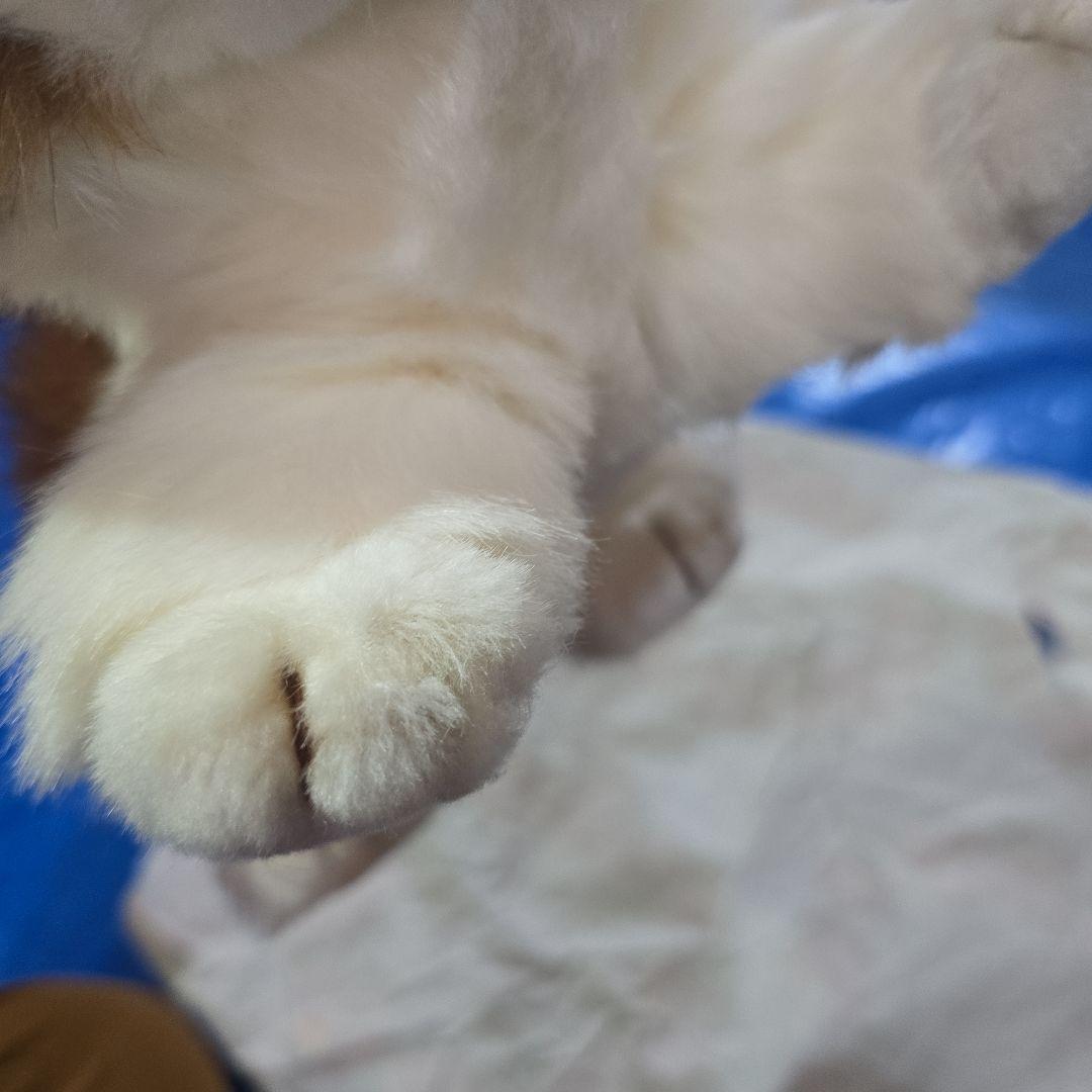 オリエンタルトーイ チャイルドバーナード 這 M420