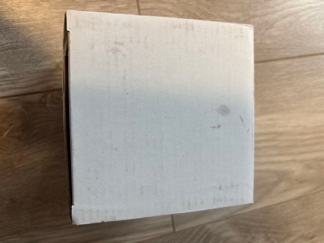 ワンピース 10周年 公式ウォッチ 黄金の指針 ゴールデンポース