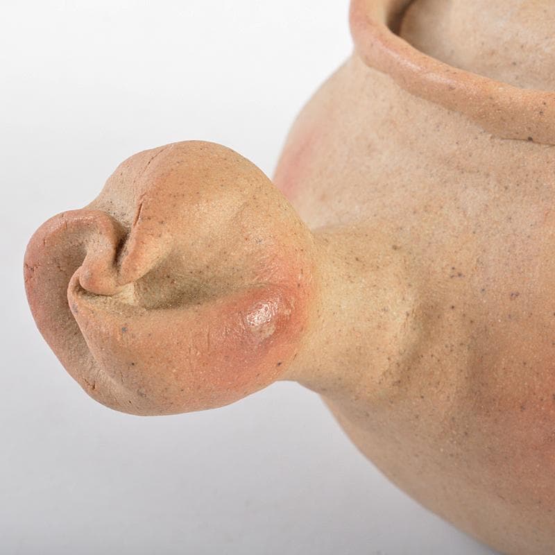 煎茶道具　萬古焼　古稀一光作　手捻　横手急須　茶壷　D　R5605