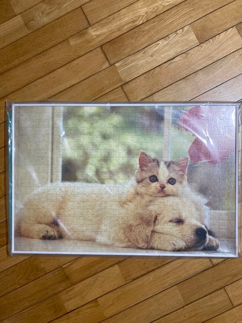 ᵔᴥᵔ犬と猫 写真ジグソーパズル 500ピース 50×75㎝ホワイト額入り完成
