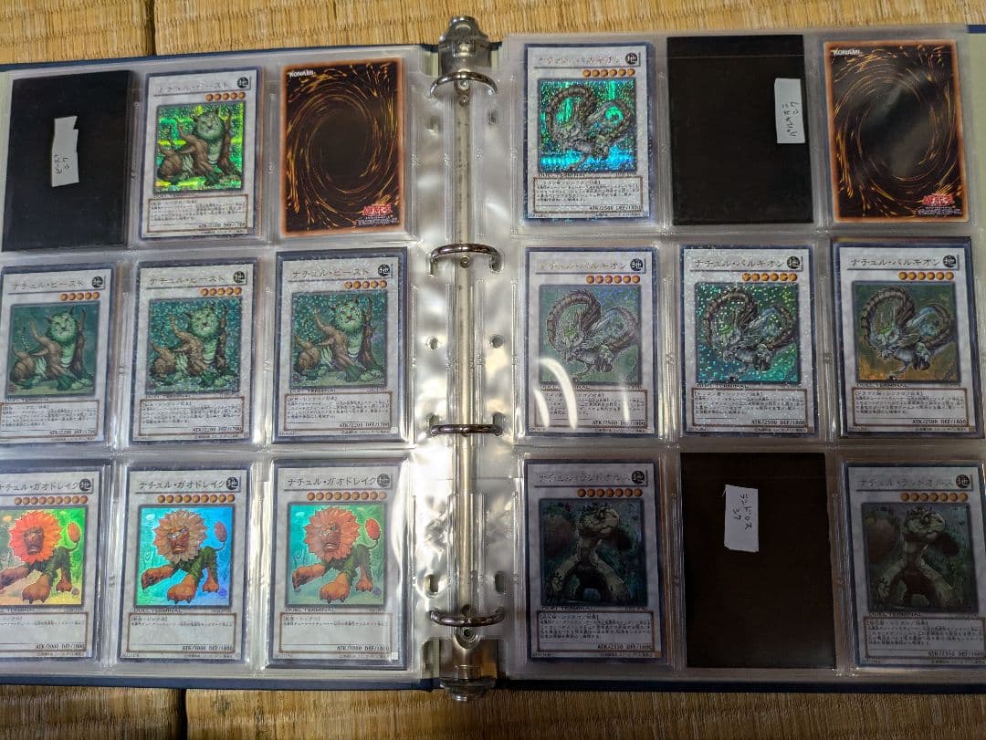 遊戯王 デュエルターミナルのみ 5000枚 大量まとめ売り 引退品 DT DTC