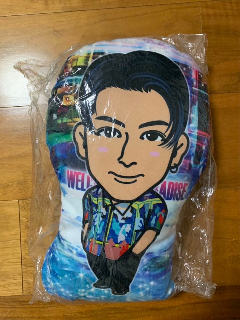 出回りなし】長谷川慎 クッション w2p