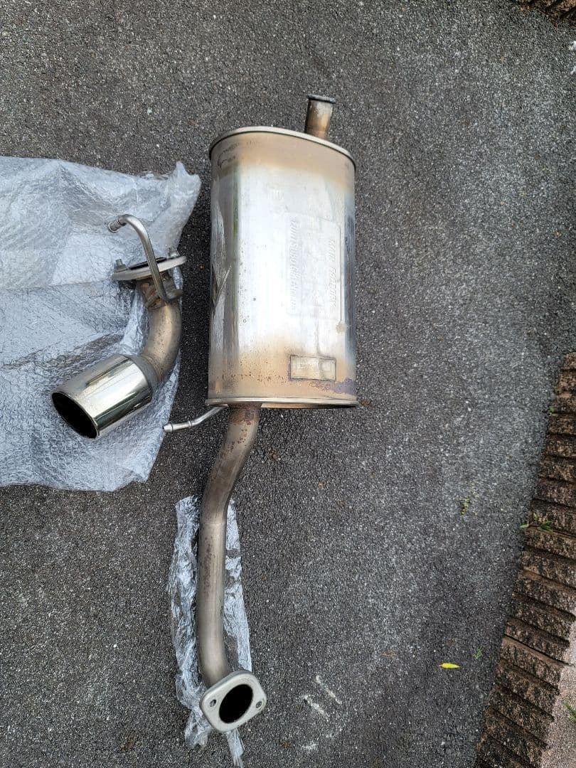 ミクロソリウムトライデントリーフ60葉以上が自然活着した2本組の