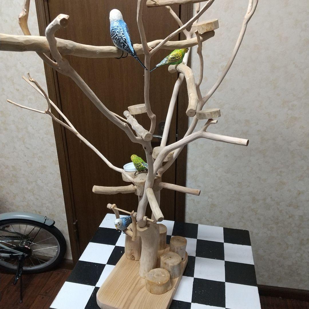 小鳥の楽園バードアスレチックツリージム