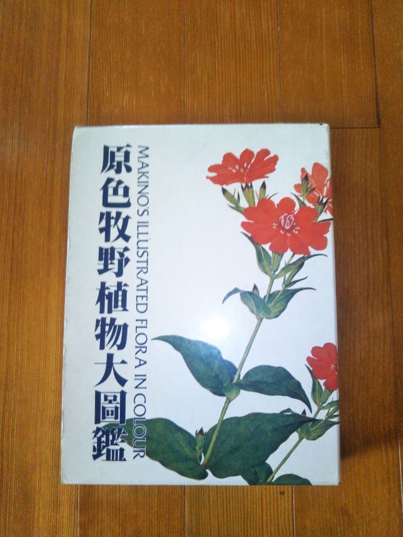 千草忠夫 処女人形 アップルノベルズ