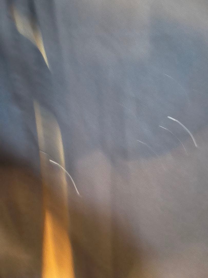 NIKESB スケートボード カバーオール