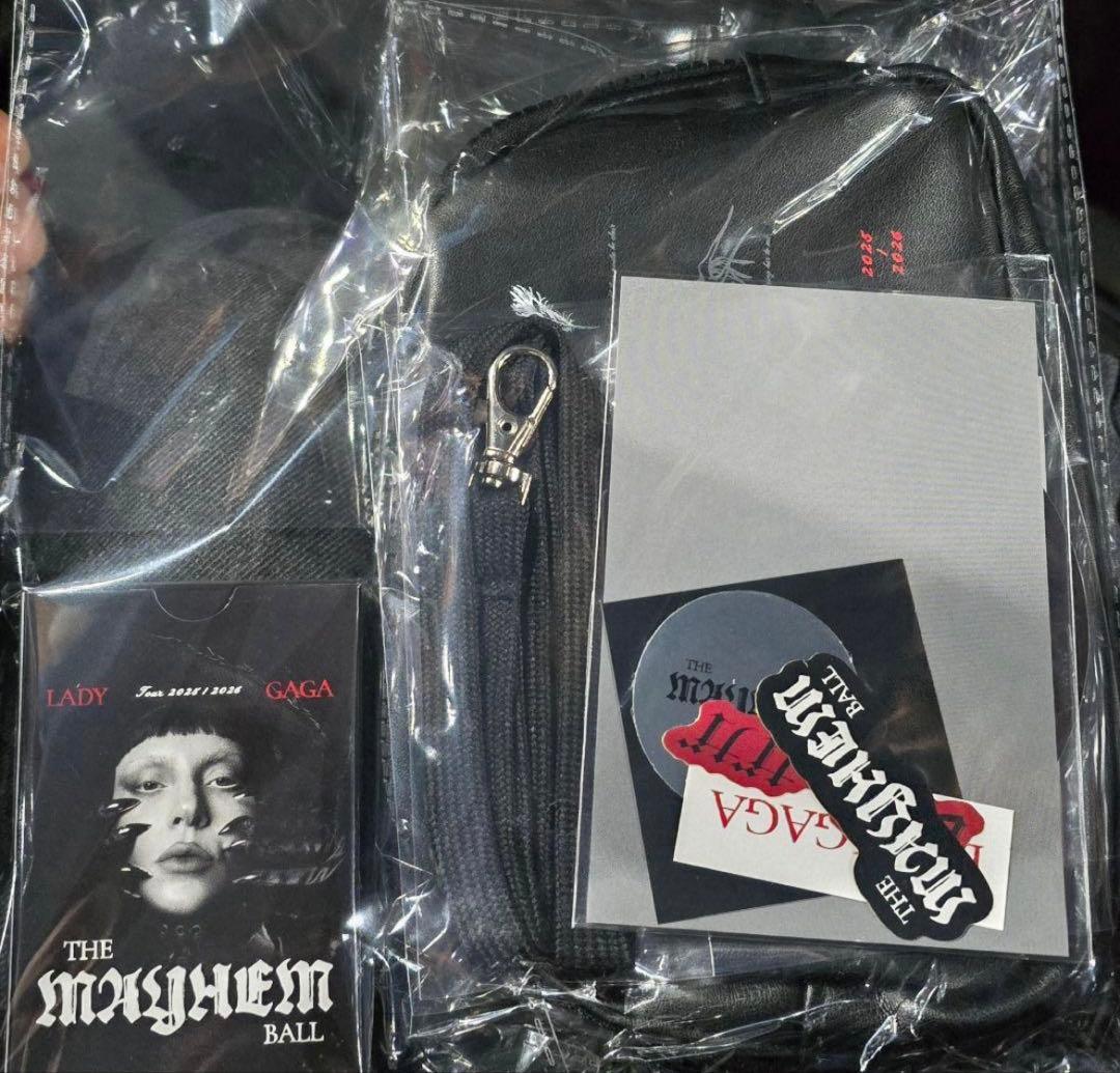 LadyGaga VIP Silver MAYHEM Ball VIP限定グッズ - メルカリ