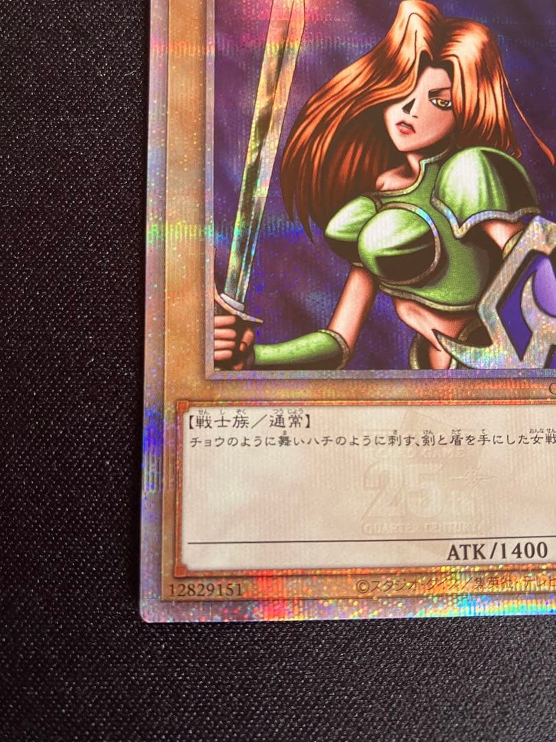 女剣士カナン　25thクォーターセンチュリーシークレットレア