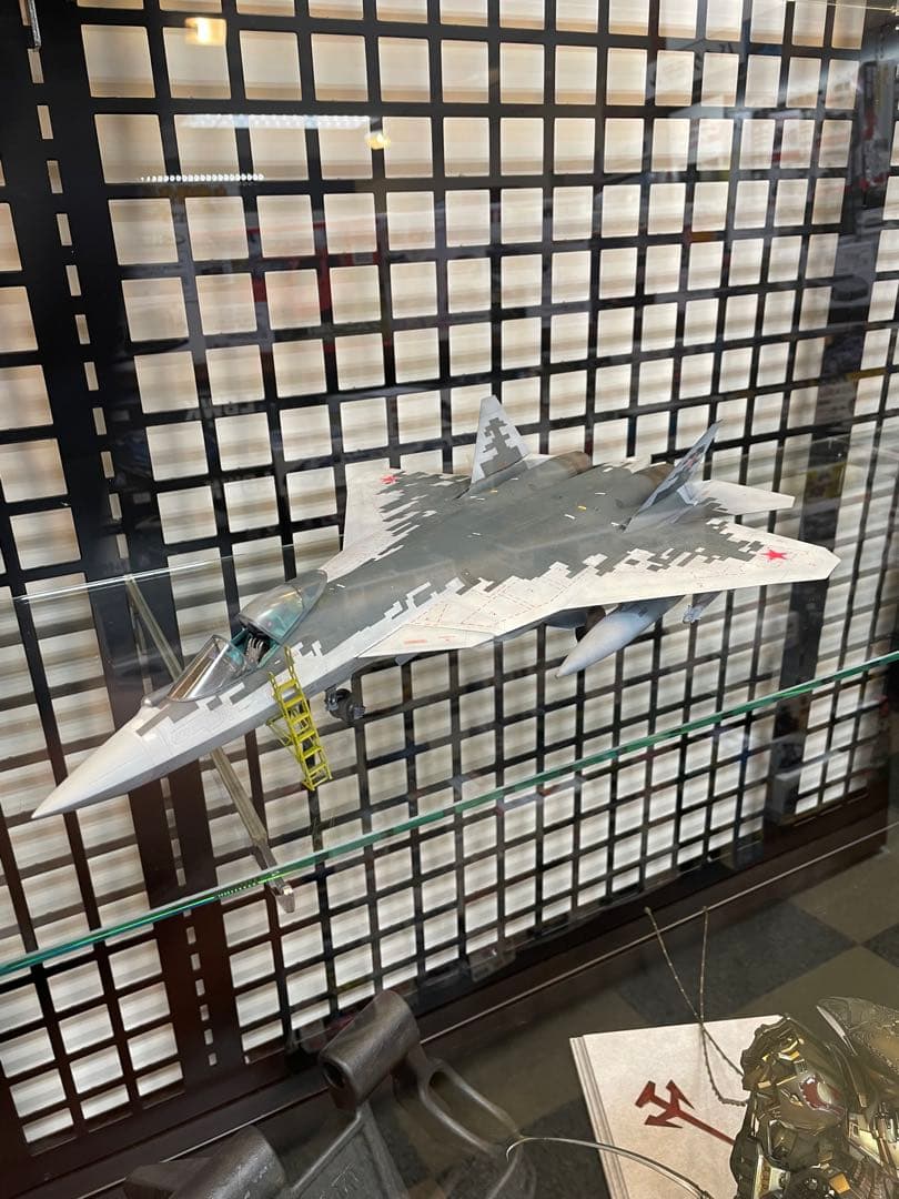 完成塗装品】1/48 ズベズダ Su-57 フェロン