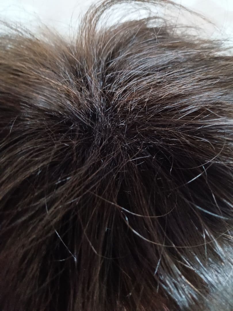 カオリナラターナー おしゃれ フルウィッグ