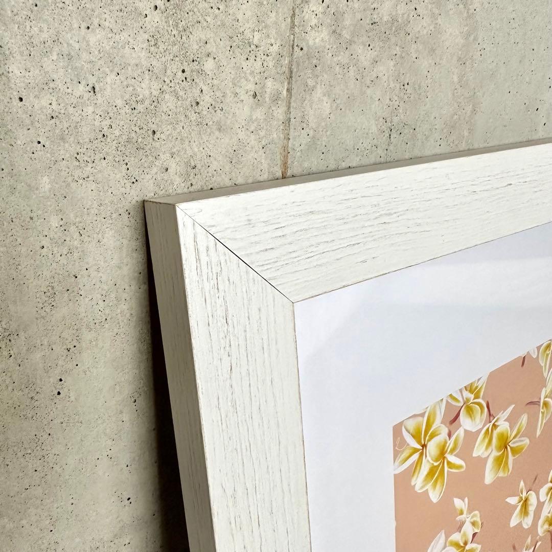 限定1点ハワイの本人から仕入れたレア版/アロハデメレ『Melia F2』額付L