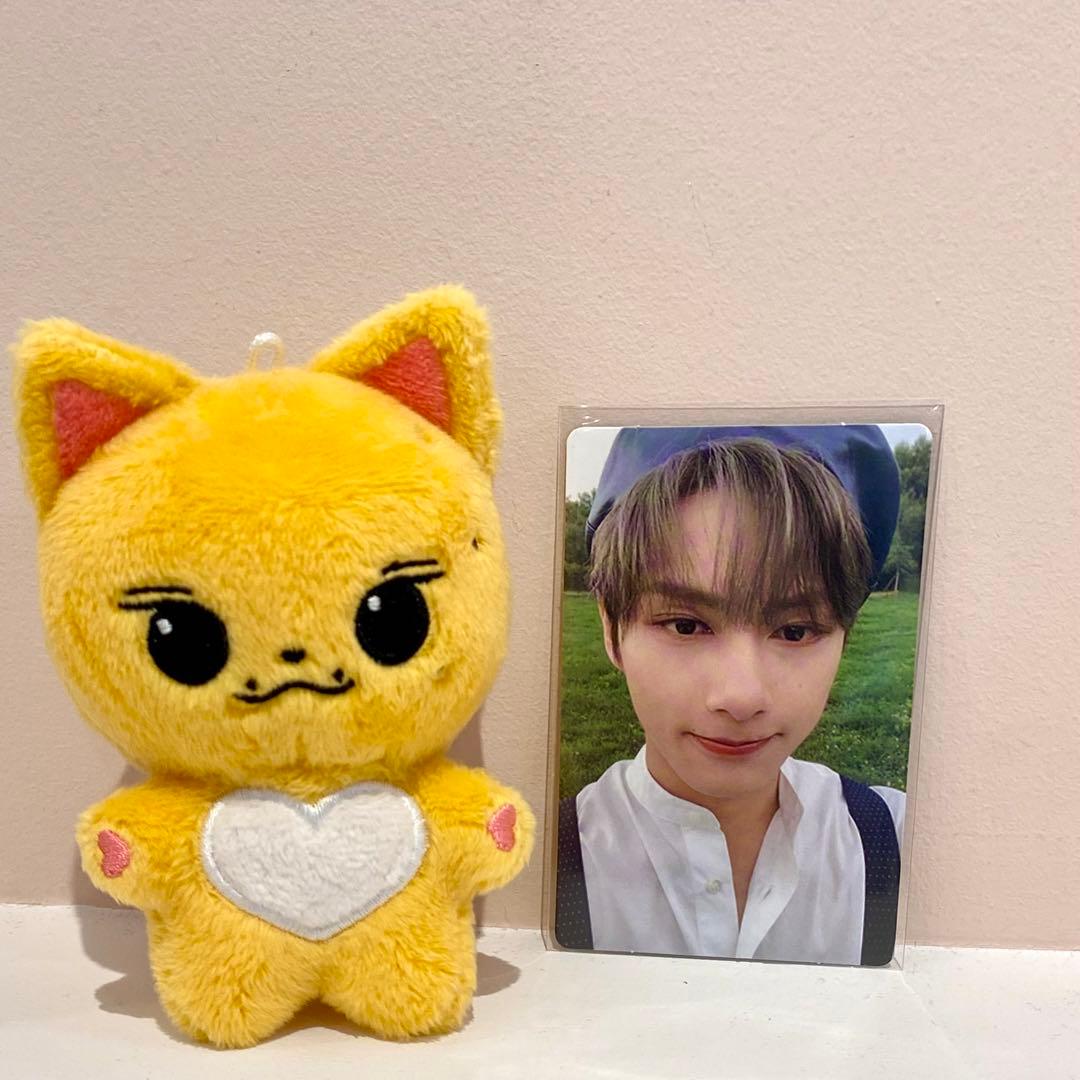 SEVENTEEN セブチ ジュン JUN 10cm ぬいぐるみ - メルカリ