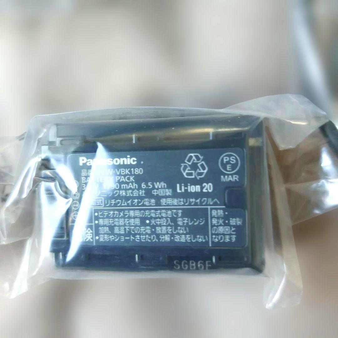 Panasonic HC-V100M ビデオカメラ