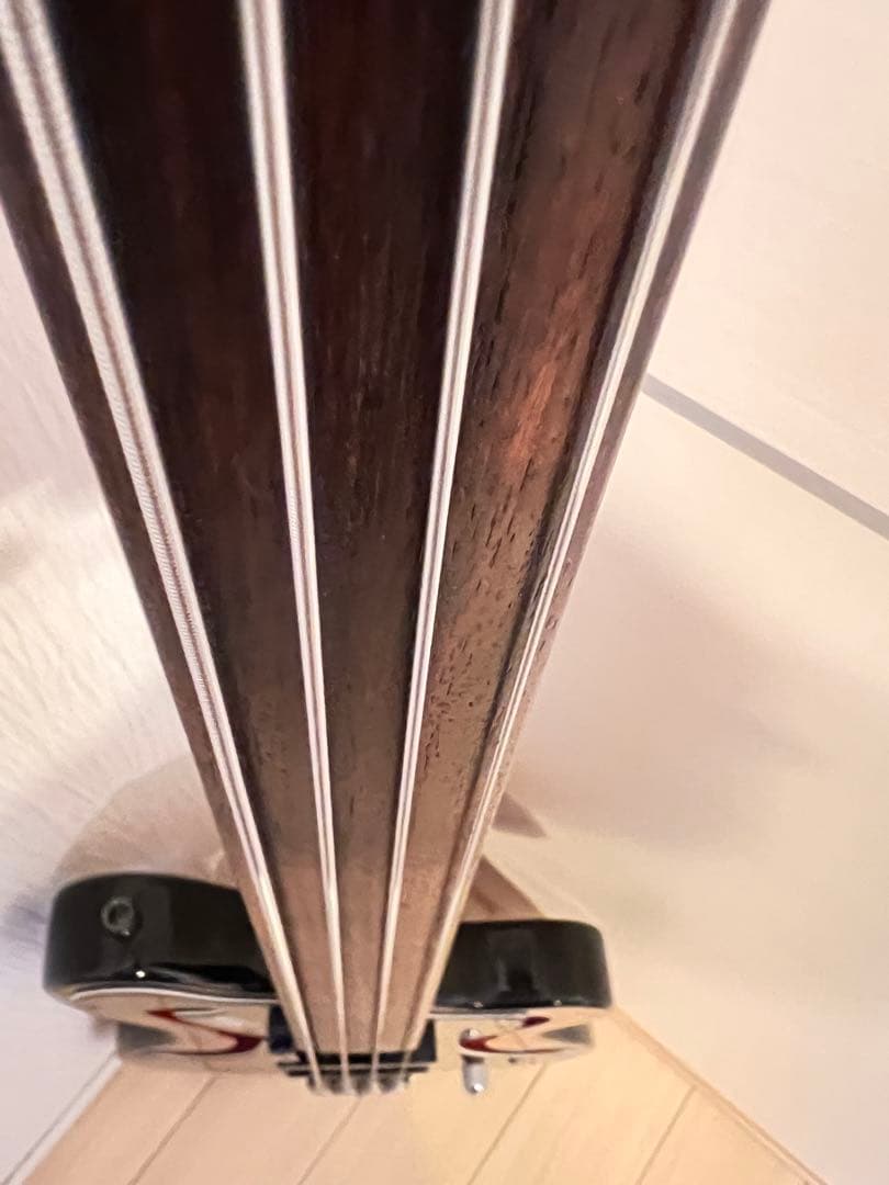 激レア Greco / A-100FL BK カスタム フレットレスベース - メルカリ