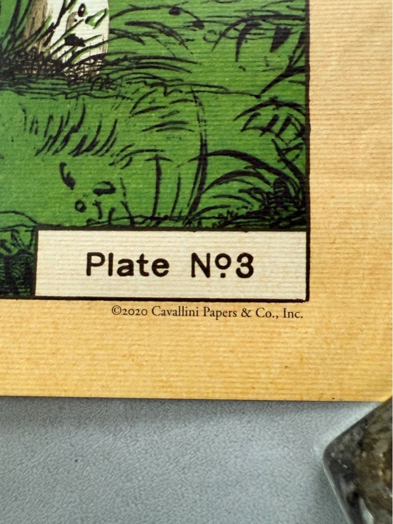 古着 ビンテージ USA きのこ 植物図鑑 サイケデリック ポスター 希少