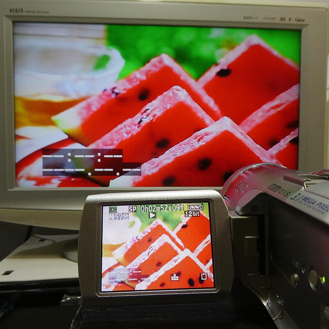 動作良好 パナソニック NV-GS250 MiniDVビデオカメラDVD化に最適