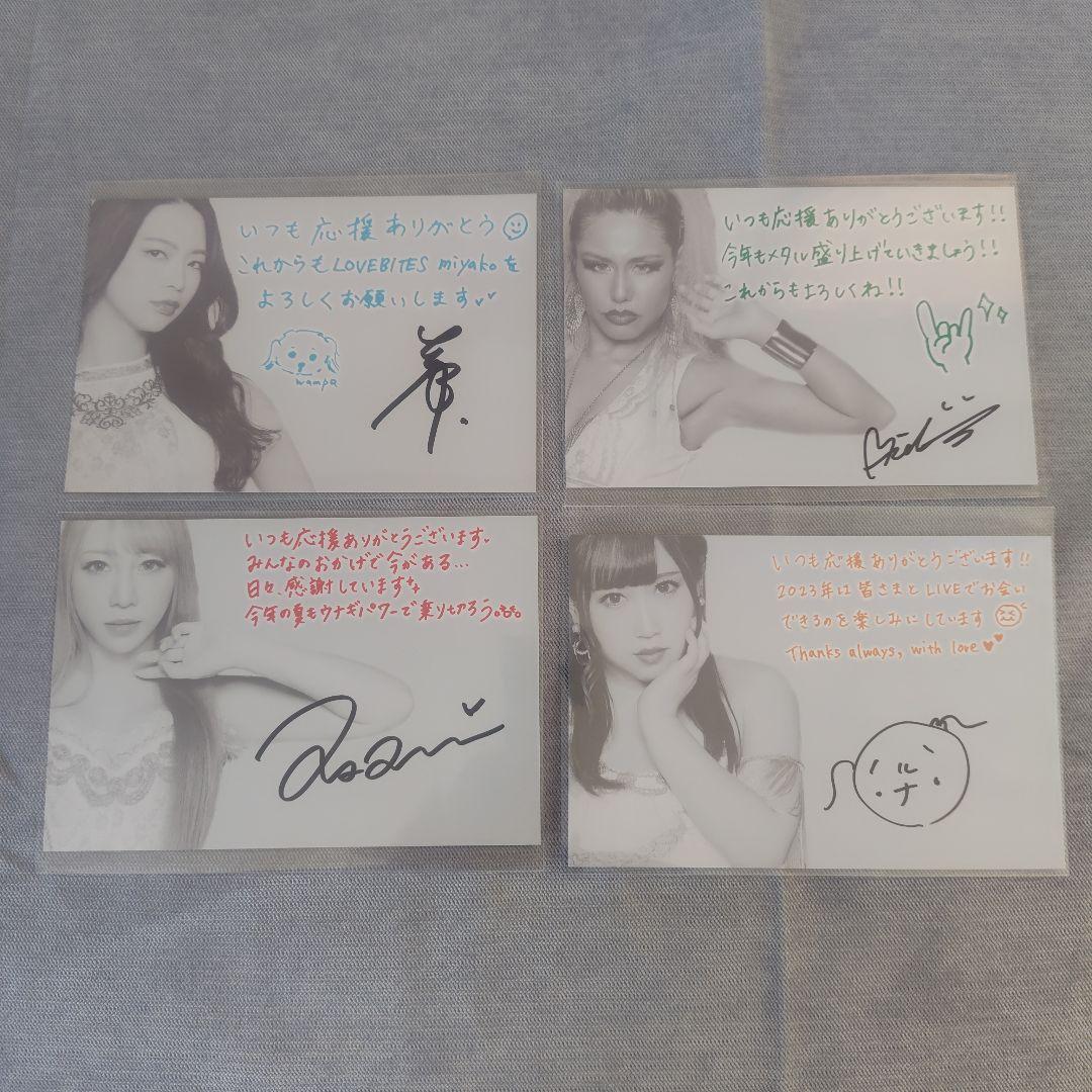 LOVEBITESバースデイTシャツ 3枚セット【XL】